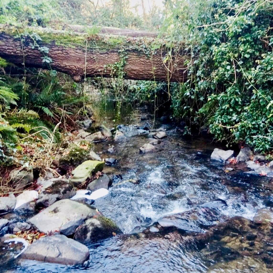 The Feckin Loop Hike on Brigid’s Day