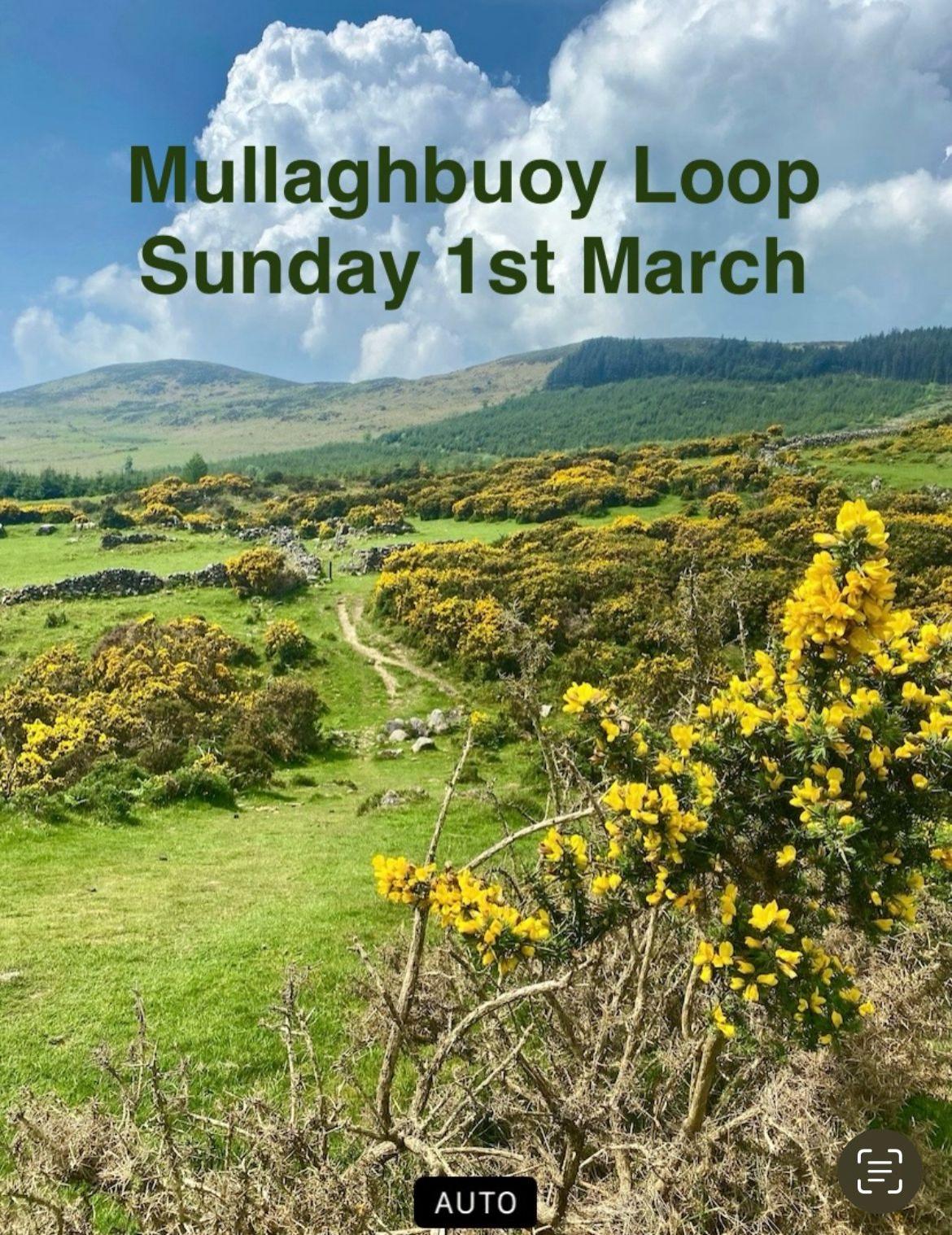 Mullaghbuoy Loop Walk