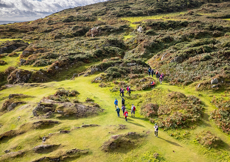 BVT aerial view of group in nature