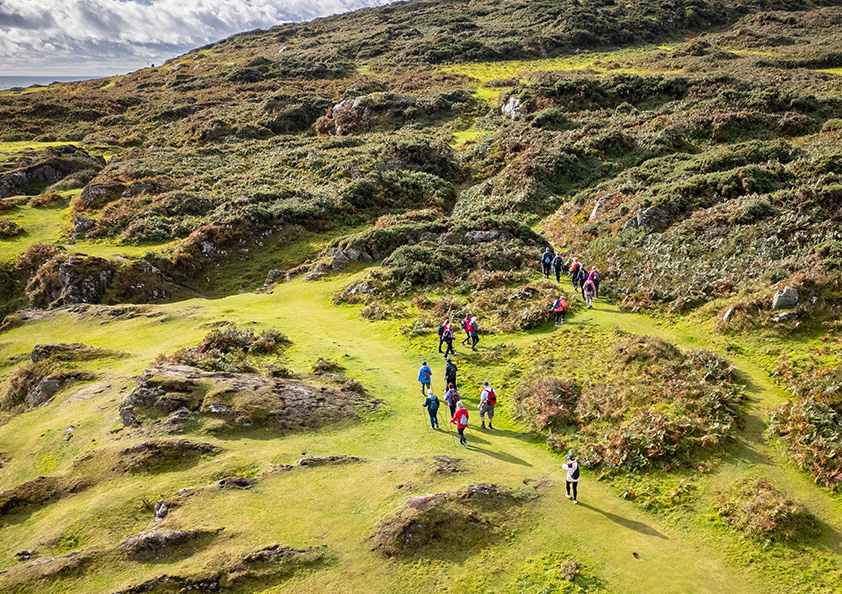 BVT aerial view of group in nature