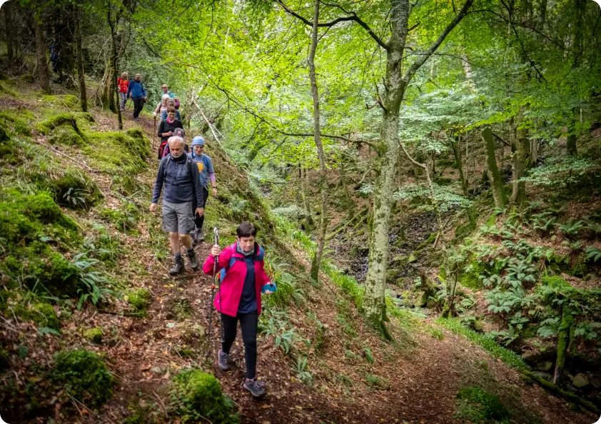 boyne valley camino