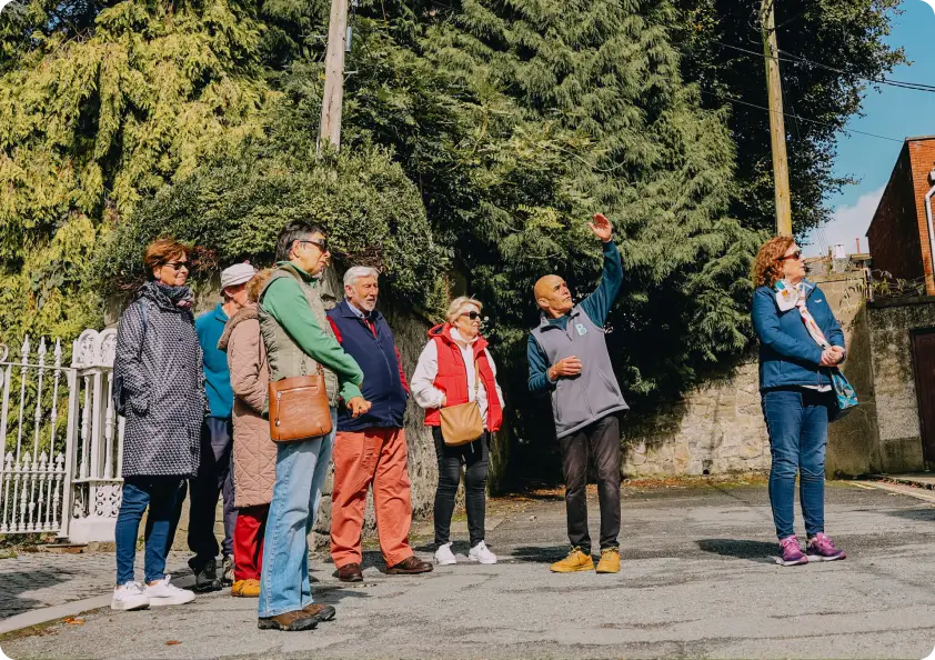 group tours