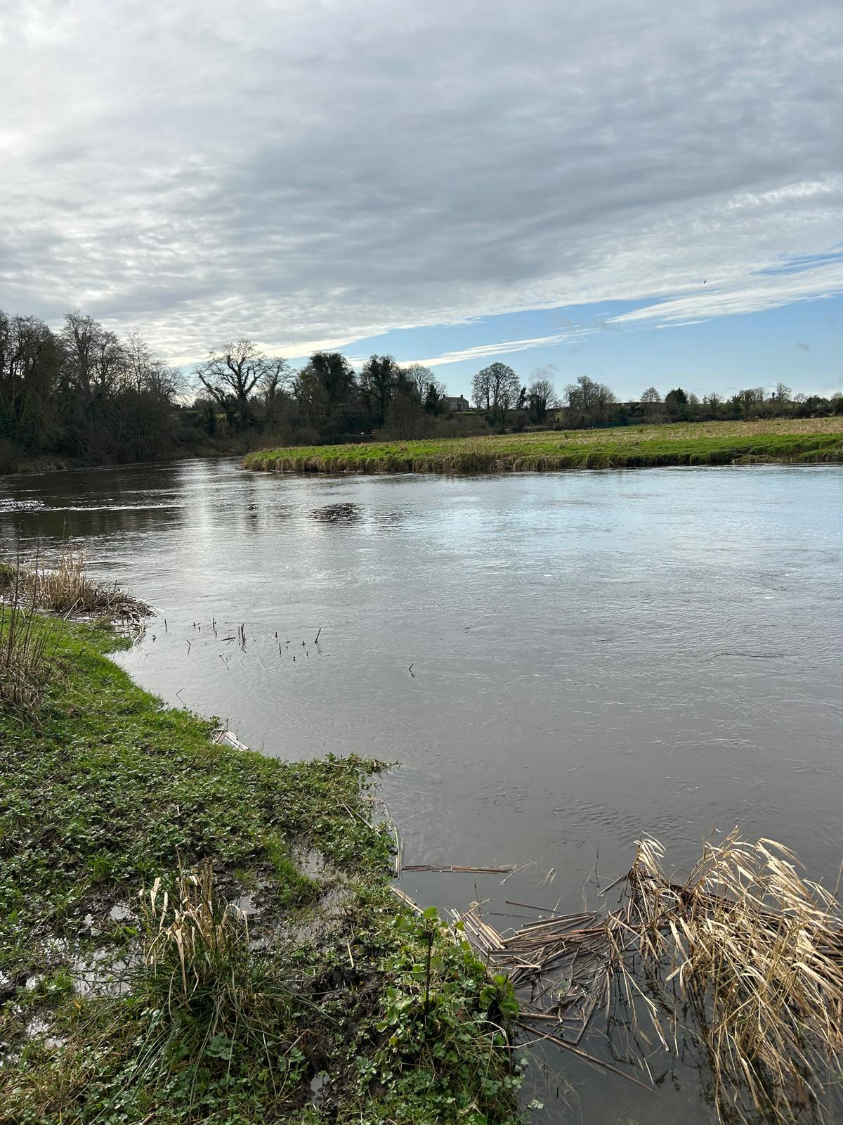 Boyne River Walk-Trails and Tides weekend
