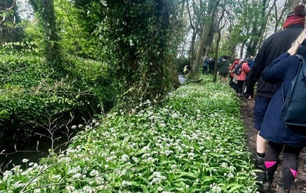 Wild Garlic walking group